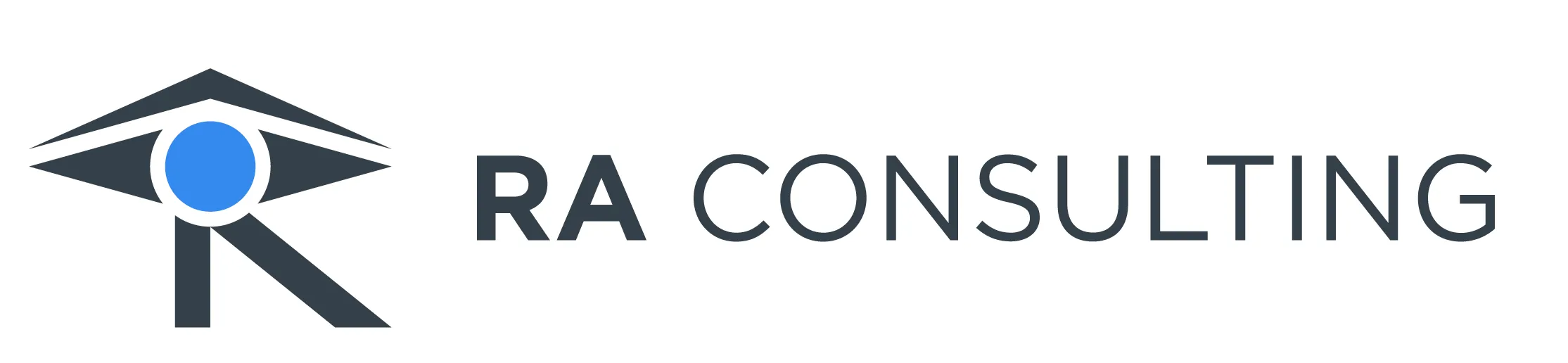 RA Consulting GmbH 